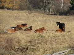 img_8893_1