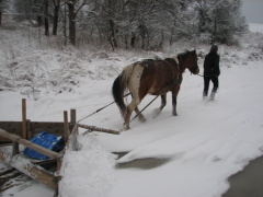 img_8986_1
