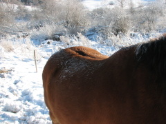 img_9015_1
