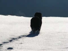 img_9178_1