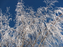 img_9312_1