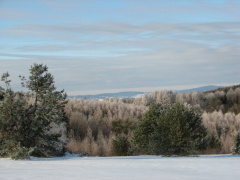 img_9325_1