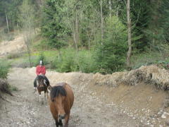 img_9424_1_01