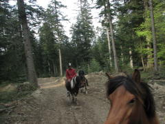img_9436_1_01