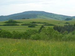 p1070738_1