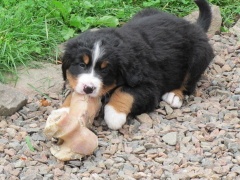 stacje_i_myjnie_07_2011_042_1